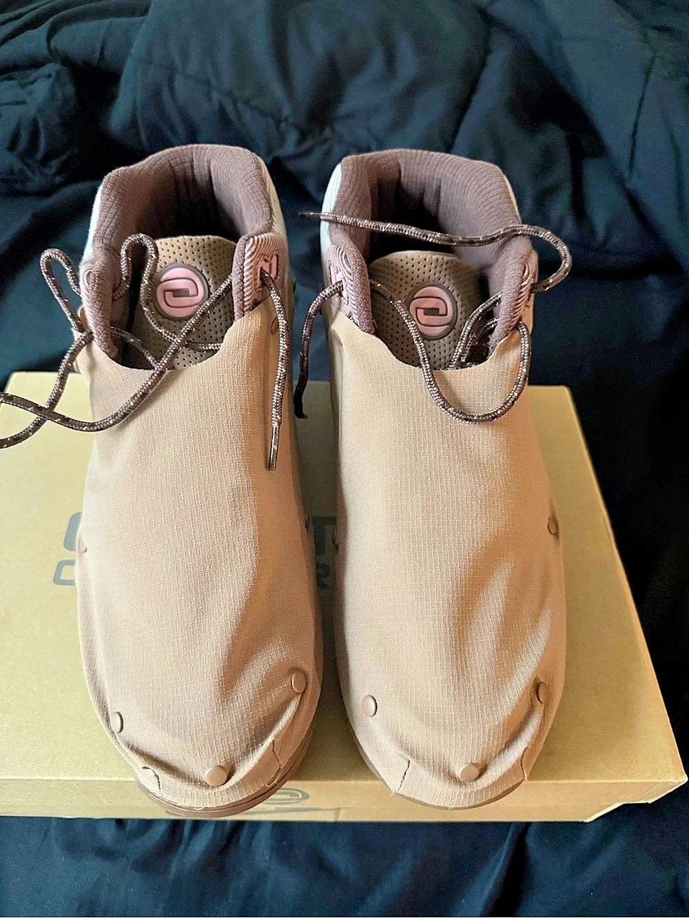 Nike Cactus Corporation Pink & Brown Sneakers